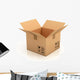 Open Empty Cardboard Box Wall Decal
