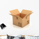 Open Empty Cardboard Box Wall Decal