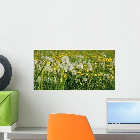 Lowenzahnwiese Wall Decal