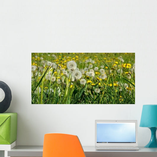 Lowenzahnwiese Wall Decal