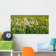 Lowenzahnwiese Wall Decal
