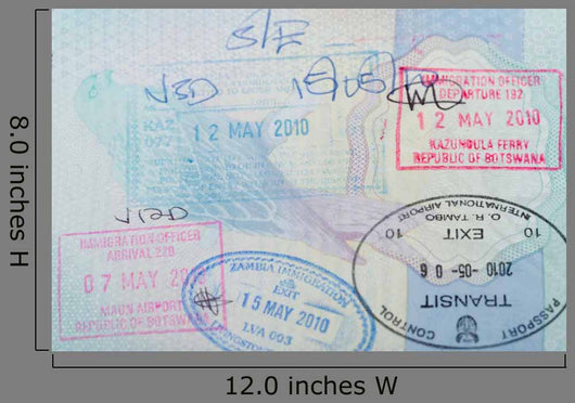 African Passport Stamps
