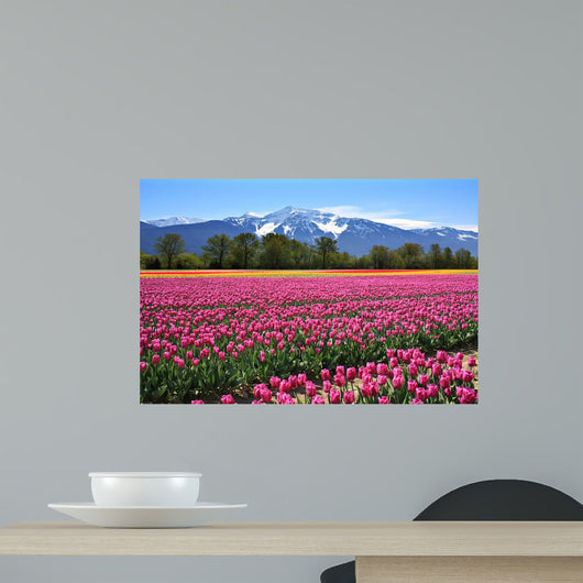 Field of tulips Wall Mural