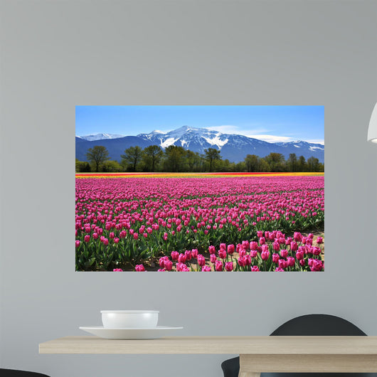 Field of tulips Wall Mural