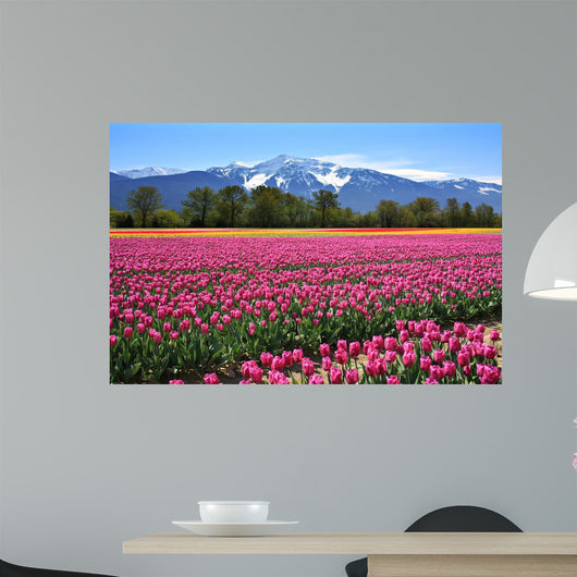 Field of tulips Wall Mural