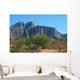 superstition mountains Wall Mural
