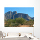 superstition mountains Wall Mural
