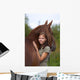 Friendship Wall Mural