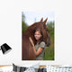 Friendship Wall Mural