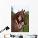 Friendship Wall Mural