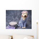Taking Bath Puppy