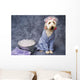 Taking Bath Puppy