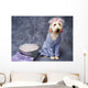 Taking Bath Puppy