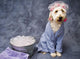 Taking Bath Puppy
