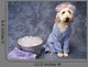Taking Bath Puppy