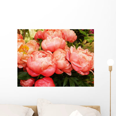 Peonies 1 shown on a wall