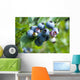 blueberry Wall Mural