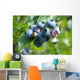 blueberry Wall Mural