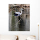 Royal Blue Wall Mural