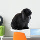 Bunny Rabbit Wall Decal