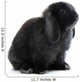 Bunny Rabbit Wall Decal