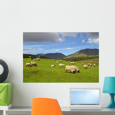 Sheep and Rams Connemara shown on a wall