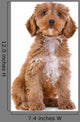 Puppy Cockapoo White Wall Decal