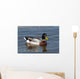 wild duck Wall Mural