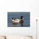 wild duck Wall Mural