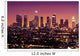 Downtown Los Angeles Skyline at Night California Wall Mural
