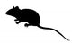 Silhouette Mouse White