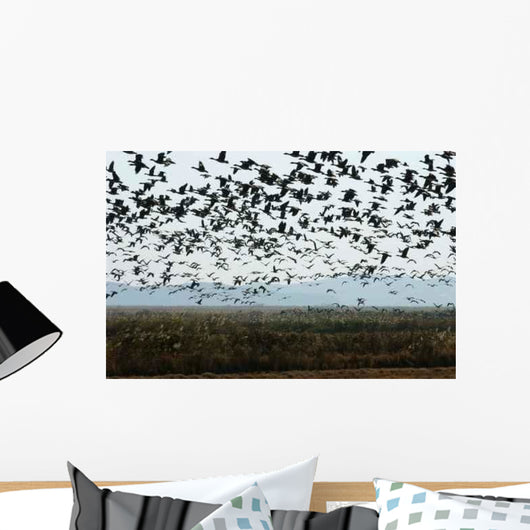 White-fronted Goose Wall Decal