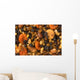 Various Dried Fruits Close-up Wall Mural