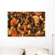 Various Dried Fruits Close-up Wall Mural