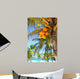 Coconut Palm Trees Caribbean