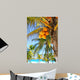 Coconut Palm Trees Caribbean