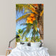 Coconut Palm Trees Caribbean