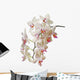 Orchid Wall Mural