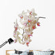 Orchid Wall Mural