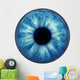 Blue Eye Wall Decal