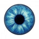 Blue Eye Wall Decal