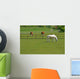 Horses and Cattle Grazing