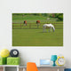 Horses and Cattle Grazing