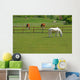 Horses and Cattle Grazing