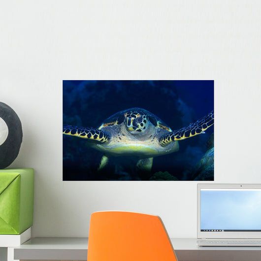 Tortue Wall Mural