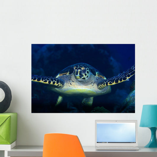 Tortue Wall Mural
