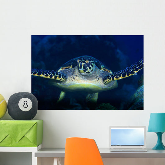 Tortue Wall Mural