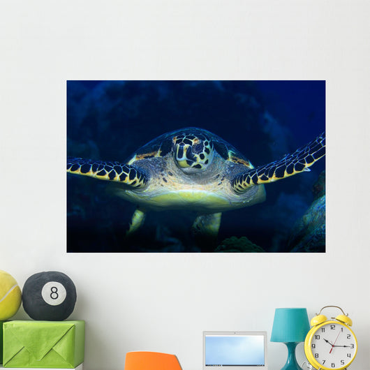 Tortue Wall Mural