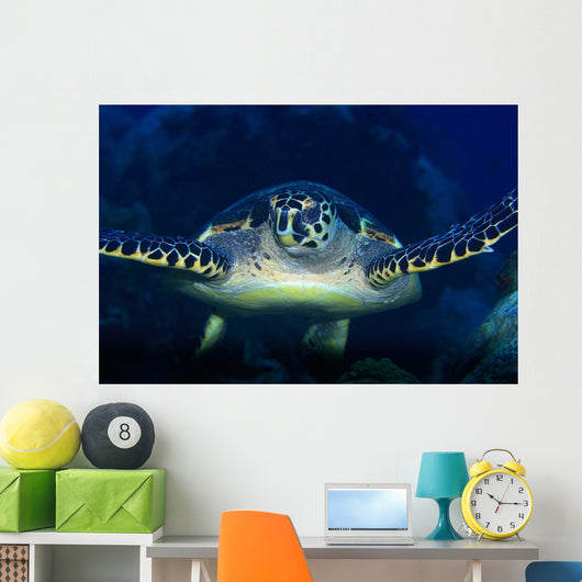 Tortue Wall Mural