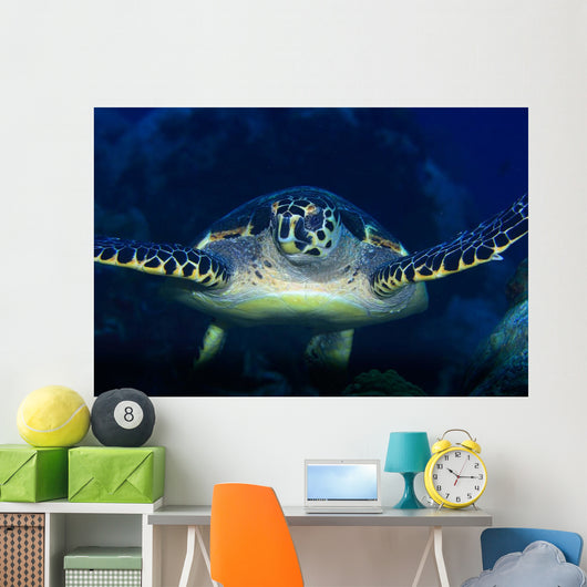 Tortue Wall Mural